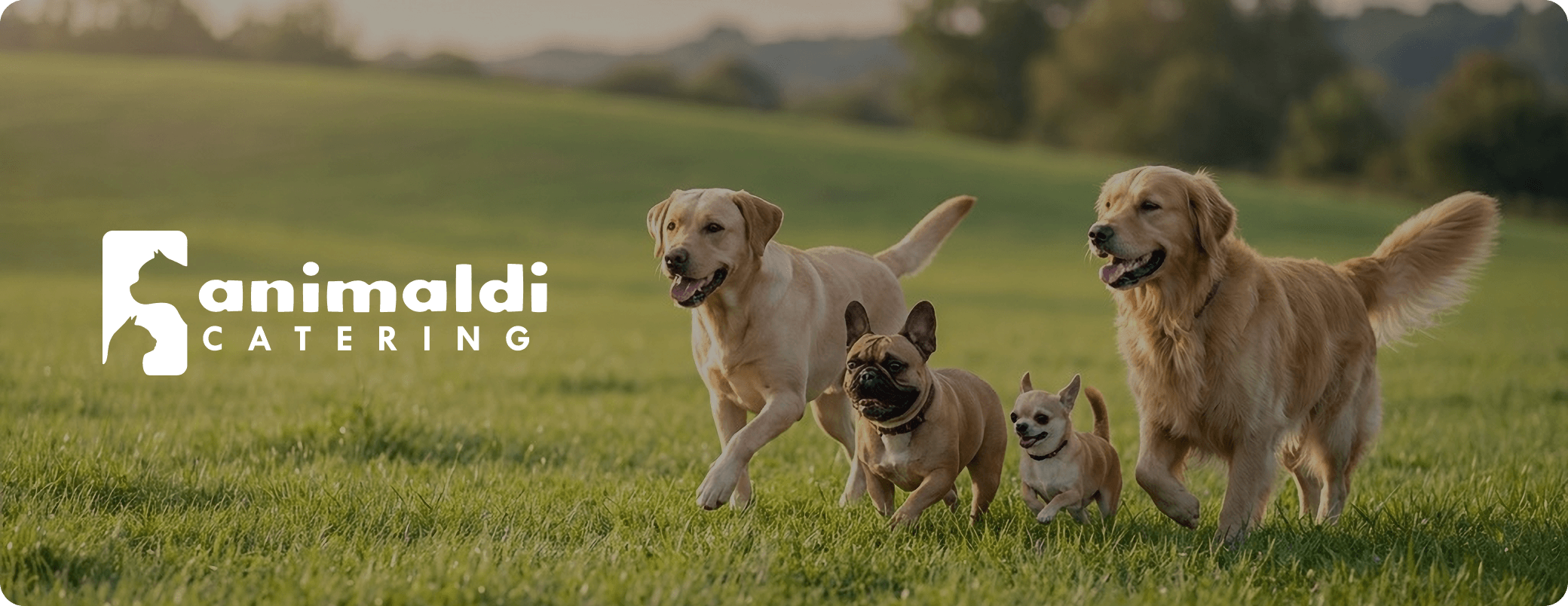 Animaldi Catering - mokra karma dla szczeniaków Junior, psy na łące